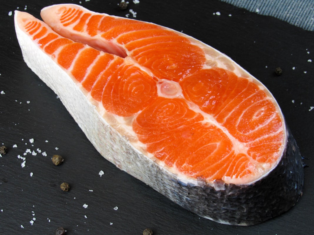 Salmone ricco di omega-3